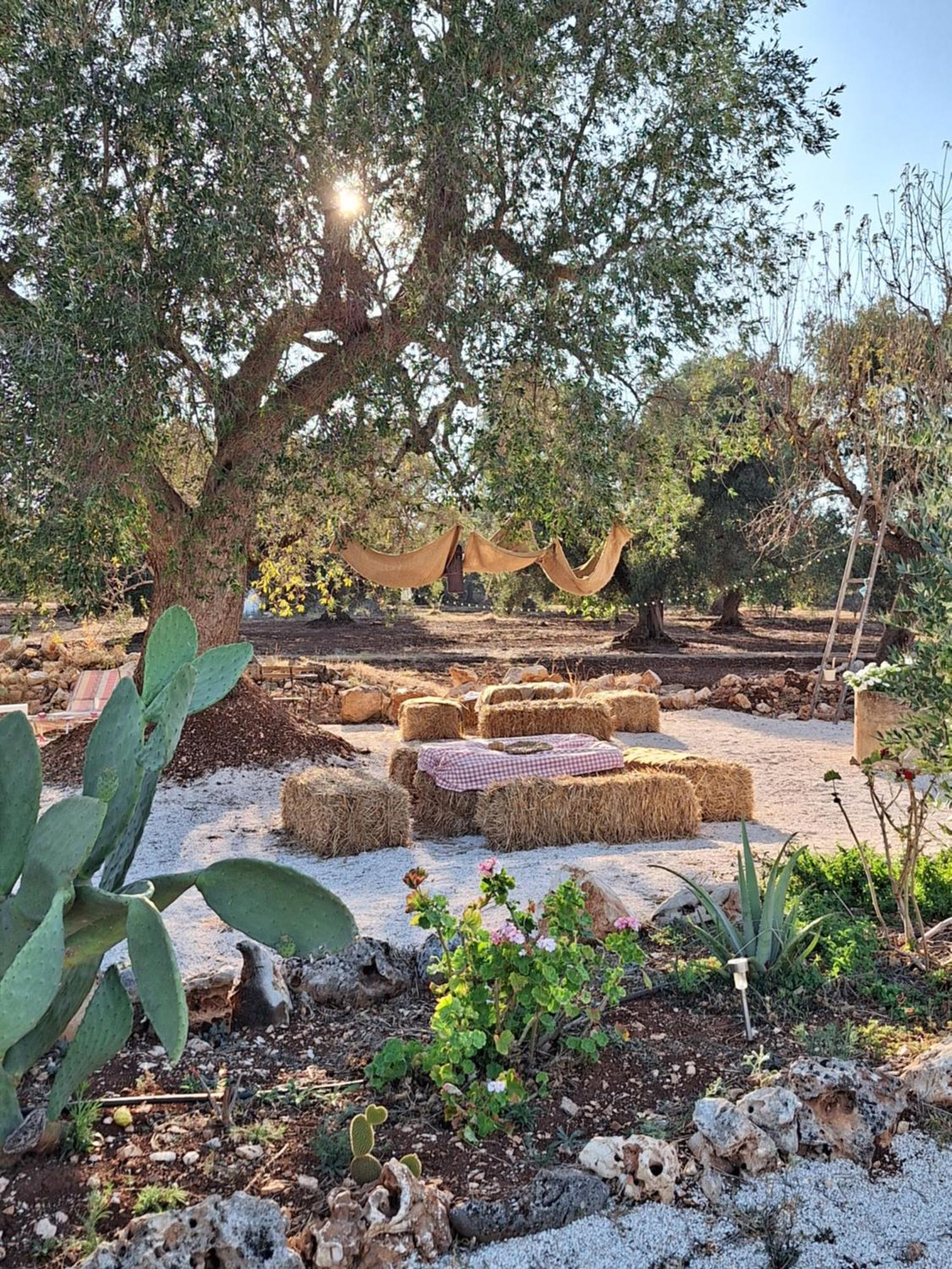 Residenza Anima Mediterranea Francavilla Fontana Bagian luar foto