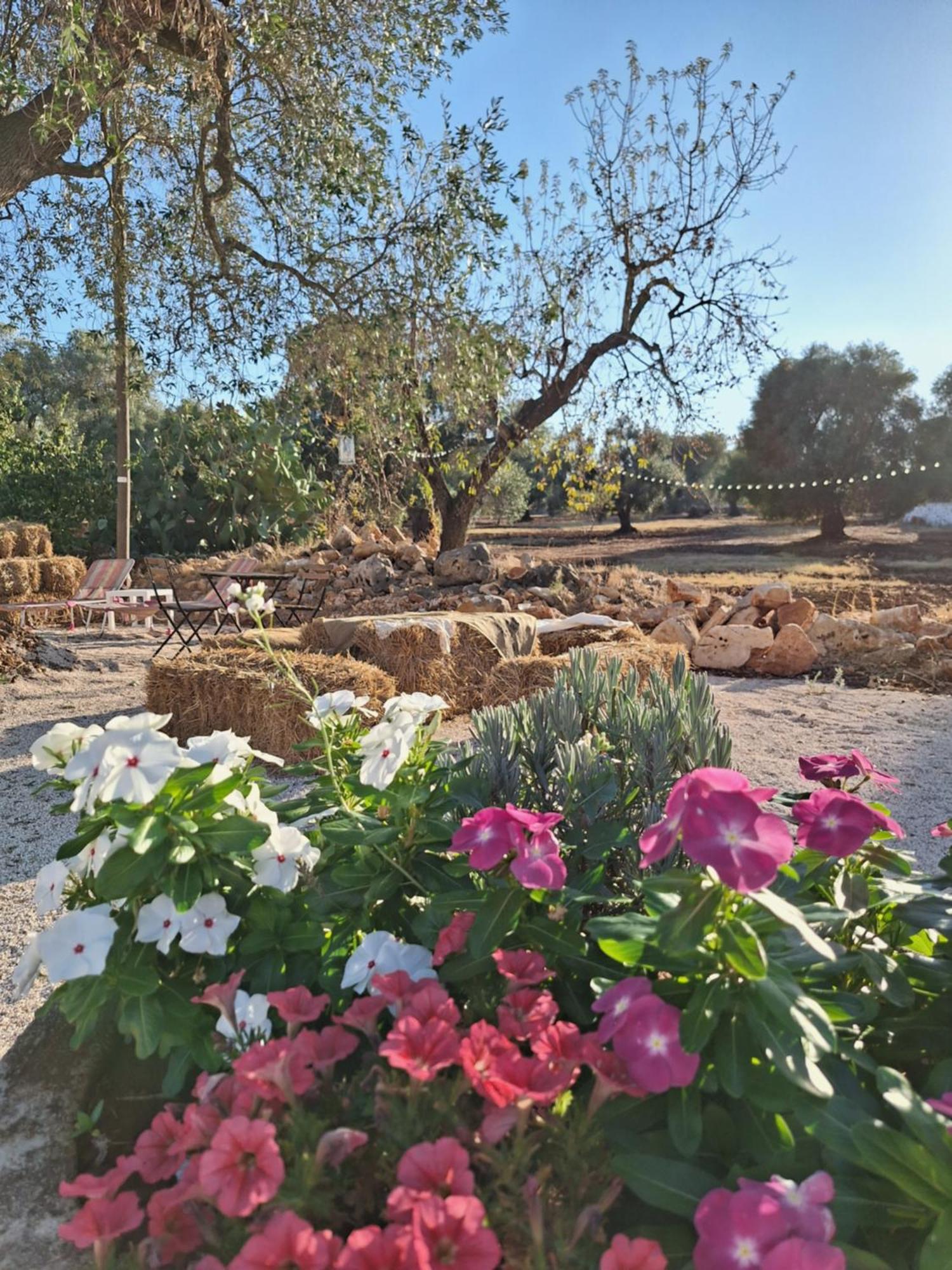 Residenza Anima Mediterranea Francavilla Fontana Bagian luar foto