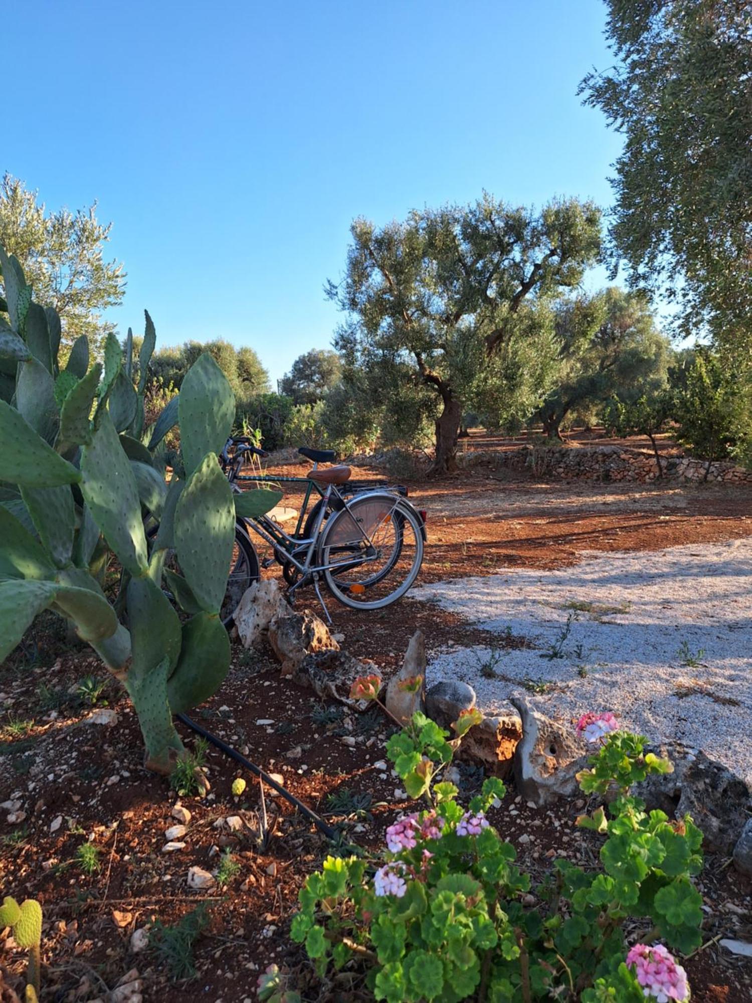 Residenza Anima Mediterranea Francavilla Fontana Bagian luar foto